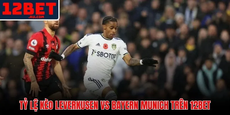 Bảng tỷ lệ kèo nhà cái 12BET trận đấu Leverkusen vs Bayern Munich